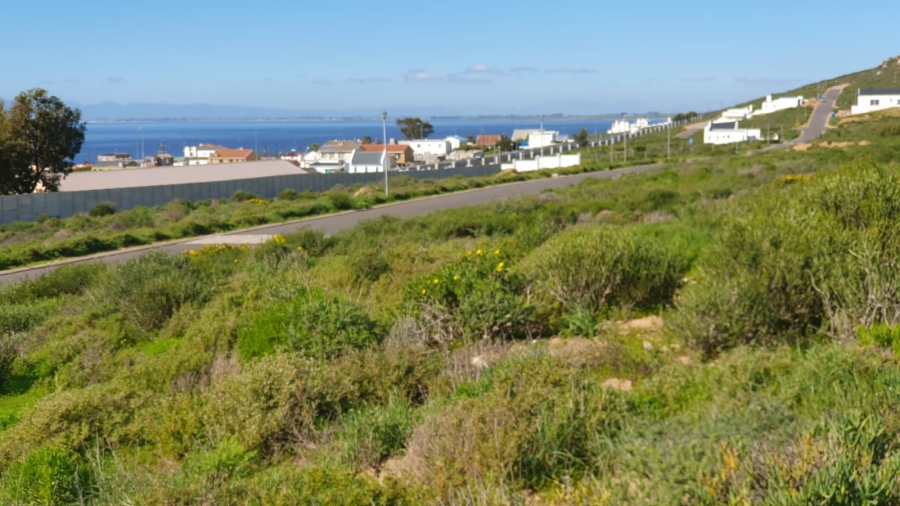 0 Bedroom Property for Sale in Steenbergs Cove Western Cape